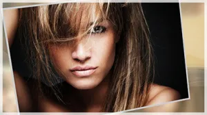 Photography Showcase Template and Styles